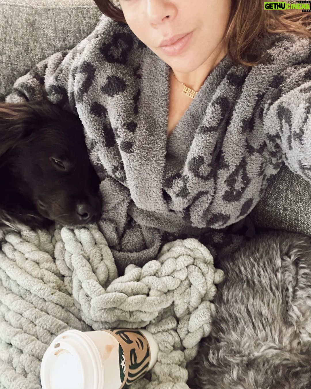 Janel Parrish Instagram - Lately: The Dog Parent Edition. Bonus points if you can tell me what show I’m watching in slide 10