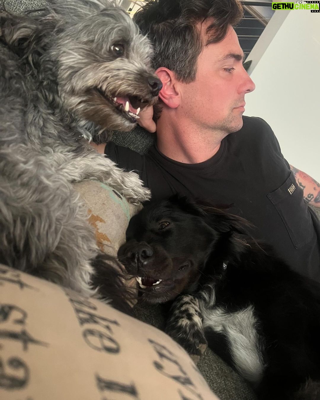 Janel Parrish Instagram - Raising a glass to the best hubby a girl could ask for and dog dad extraordinaire 🥹🥳 happy birthday baby @c_long I love you in every moment. Thank you for being my happy place 🥰