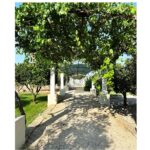 Janet Jackson Instagram - We rounded out our summer vacation at the breathtaking @Tenuta_Negroamaro in Puglia, Italy. The hotel grounds are so peaceful & relaxing and it’s such a blessing to be able to spend quality time with my baby 🥰 (Swipe for more) 📷: me 🫣