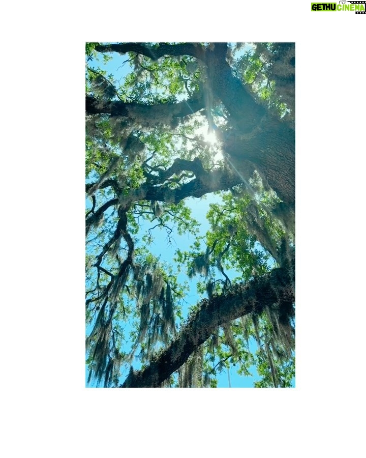 Janet Jackson Instagram - Savannah! See u 2nite. #TogetherAgainTour 🫶🏽 Enmarket Arena