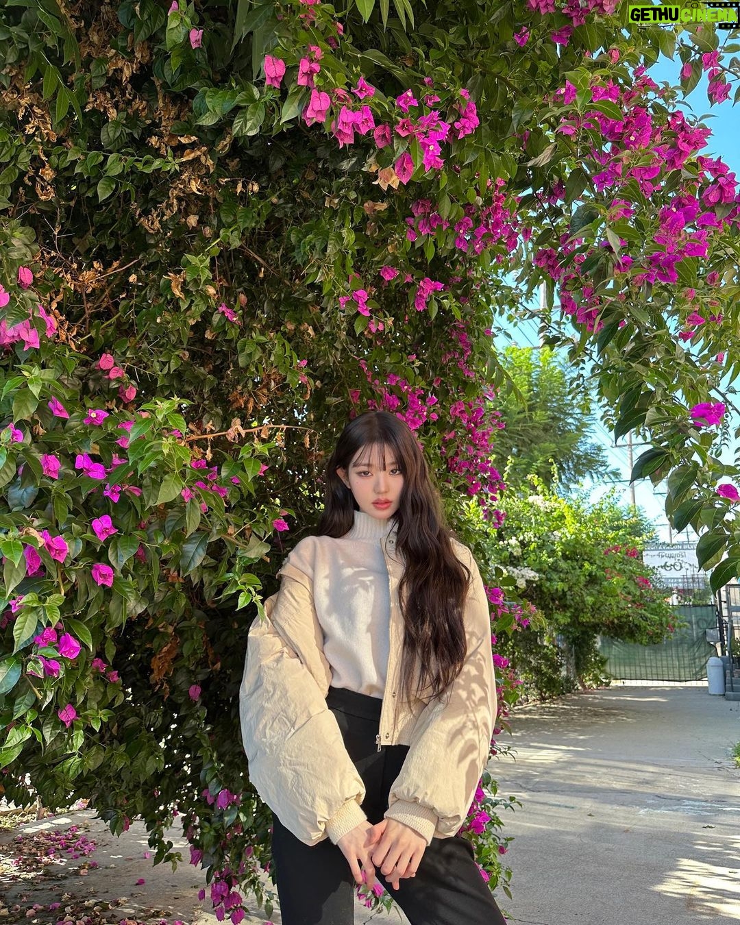 Jang Won-young Instagram - Feeling the winter vibe with @sjsjofficial🖤🌬 #SJSJx장원영 🤍 Los Angeles, California