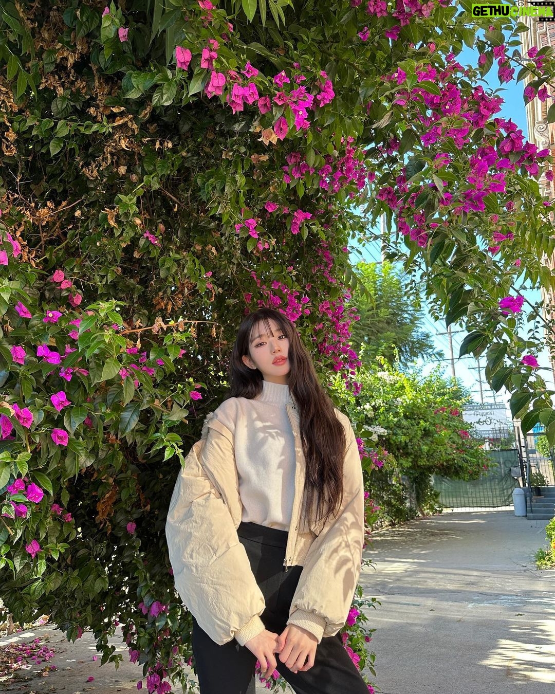 Jang Won-young Instagram - Feeling the winter vibe with @sjsjofficial🖤🌬 #SJSJx장원영 🤍 Los Angeles, California