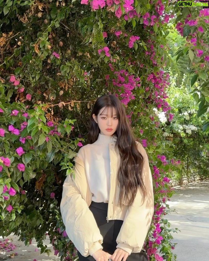 Jang Won-young Instagram - Feeling the winter vibe with @sjsjofficial🖤🌬 #SJSJx장원영 🤍 Los Angeles, California