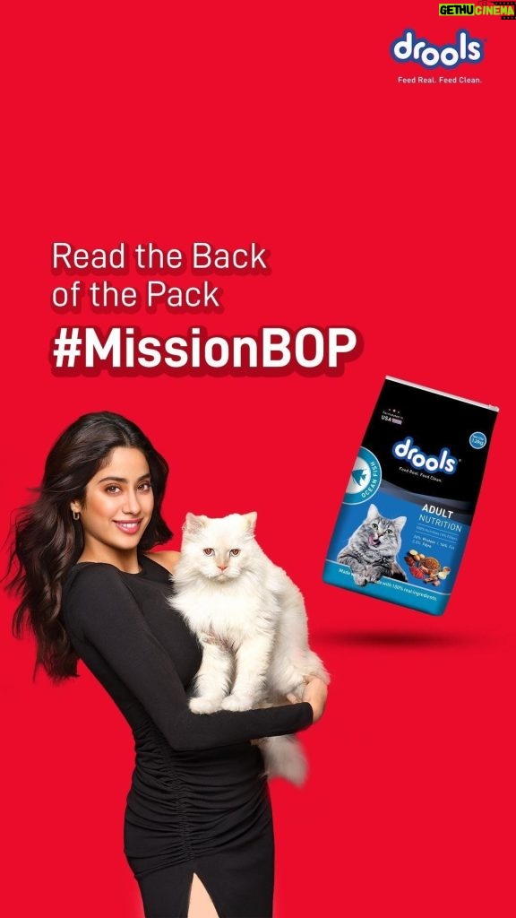 Janhvi Kapoor Instagram - Your pet’s health starts with what’s in their bowl. Check those labels for clean, pure ingredients to keep those tails wagging happily! ❤️🐾 Give your furry friend the best with Drools #MissionBOP. Take part in the #ReadtheBackofPack Challenge to win a FREE International trip! #Drools #MissonBOP #ReadtheBackofPack #Contest #FeedRealFeedClean #PetFood #PetParents #Pets #NoByProducts #Ad