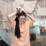 Jannine Parawie Weigel Instagram – มาดูคาเฟ่แมวที่บ้านเราไม๊…😼 @pajara.official