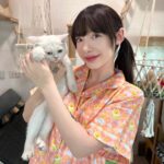 Jannine Parawie Weigel Instagram - มาดูคาเฟ่แมวที่บ้านเราไม๊…😼 @pajara.official