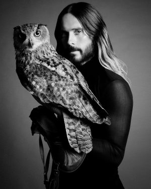 Jared Leto Instagram - 🦉🕺🏻@numero_netherlands

photography @jackwaterlotstudio
wardrobe @Loewe @jonathan.anderson @twojeys @paumelosangeles @enfantrichesdeprimes @henrialexanderlevy @commedesgarcons @kawakubosan @rickowensonline @lewisleathers @act_n1 @lucal___ @willychavarrianewyork @ysl @anthonyvaccarello @tomford 
styling @christianstroble
photography assistance @timothy.kwon @ryanwermich 
stylist assistance @jach_w @gaiakhat
grooming @jamie_grooming @thewallgroup
executive production @johnny_pascucci
senior production @me.smb
project management @vicenteluna
key production @omarquiroga
animal training @benaysbirdandanimals
editor @timiletonja
interview @janaletonja
cover design @arthurroeloffzen