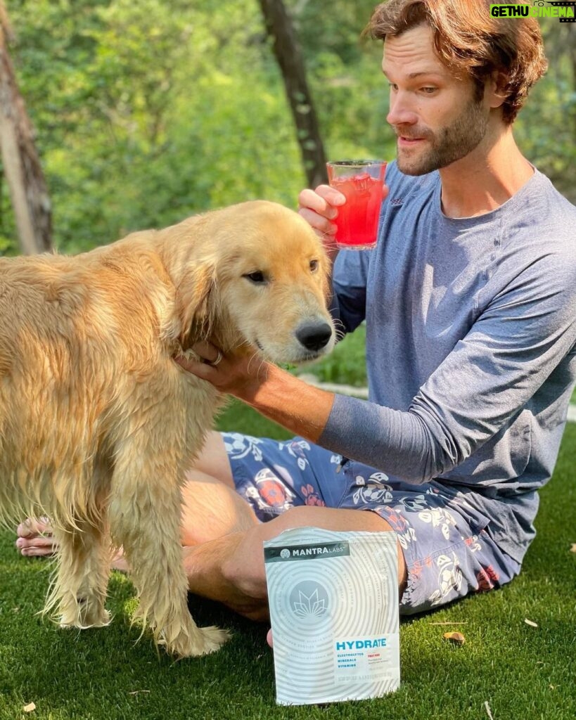 Jared Padalecki Instagram - This soggy doggy and I both understand the importance of staying hydrated. @gomantralabs has us covered. Link in bio