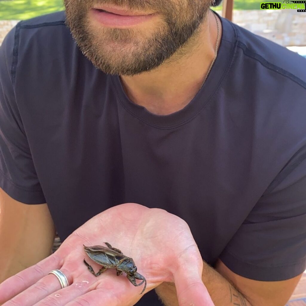 Jared Padalecki Instagram - Do I call an exterminator or get a pet license?