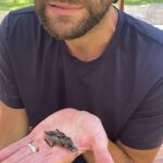 Jared Padalecki Instagram – Do I call an exterminator or get a pet license?