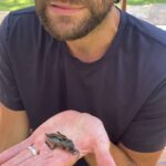 Jared Padalecki Instagram - Do I call an exterminator or get a pet license?