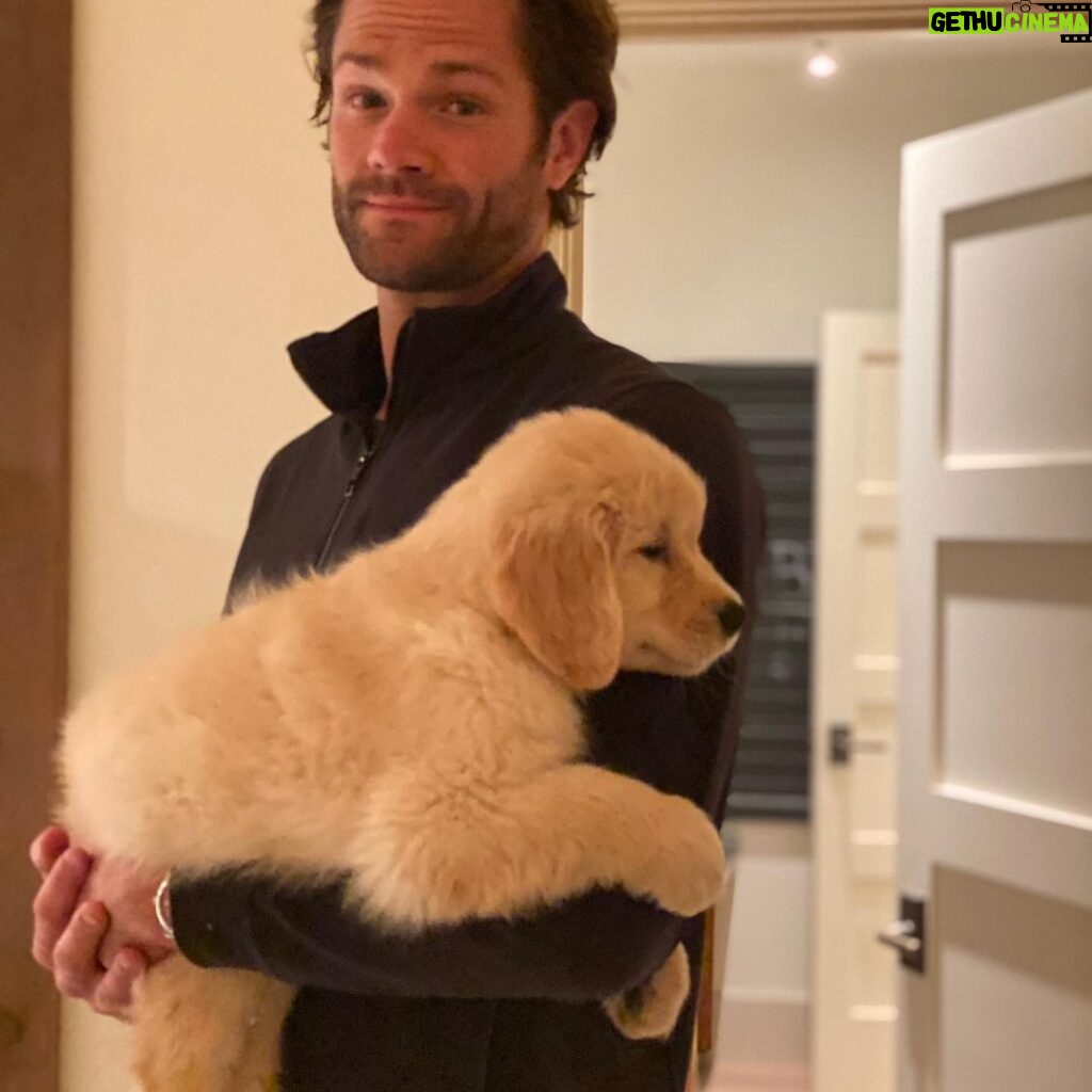 Jared Padalecki Instagram - The wait is finally over! @genpadalecki and I welcomed our new baby, Bridger, home this week. He has blonde hair, brown eyes, and is only slightly slobbery. I look forward to tossing the ol’ pigskin around with him someday. #ProudDad #GoodestBoy