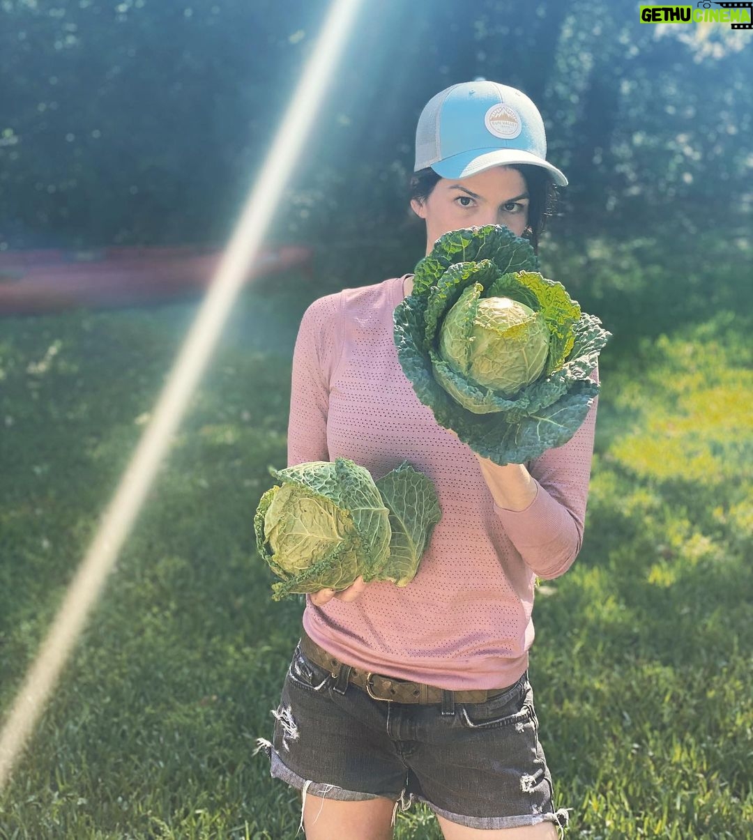 Jared Padalecki - 554.2K Likes - To my one and only. My wife. The #GOAT. Thank you. Thank you for being born. Thank you for our wonderful family. Thank you for inspiring and motivating me to be the best version of “me”. I love you for more than just your perfect cabbages. #HappyMothersDay