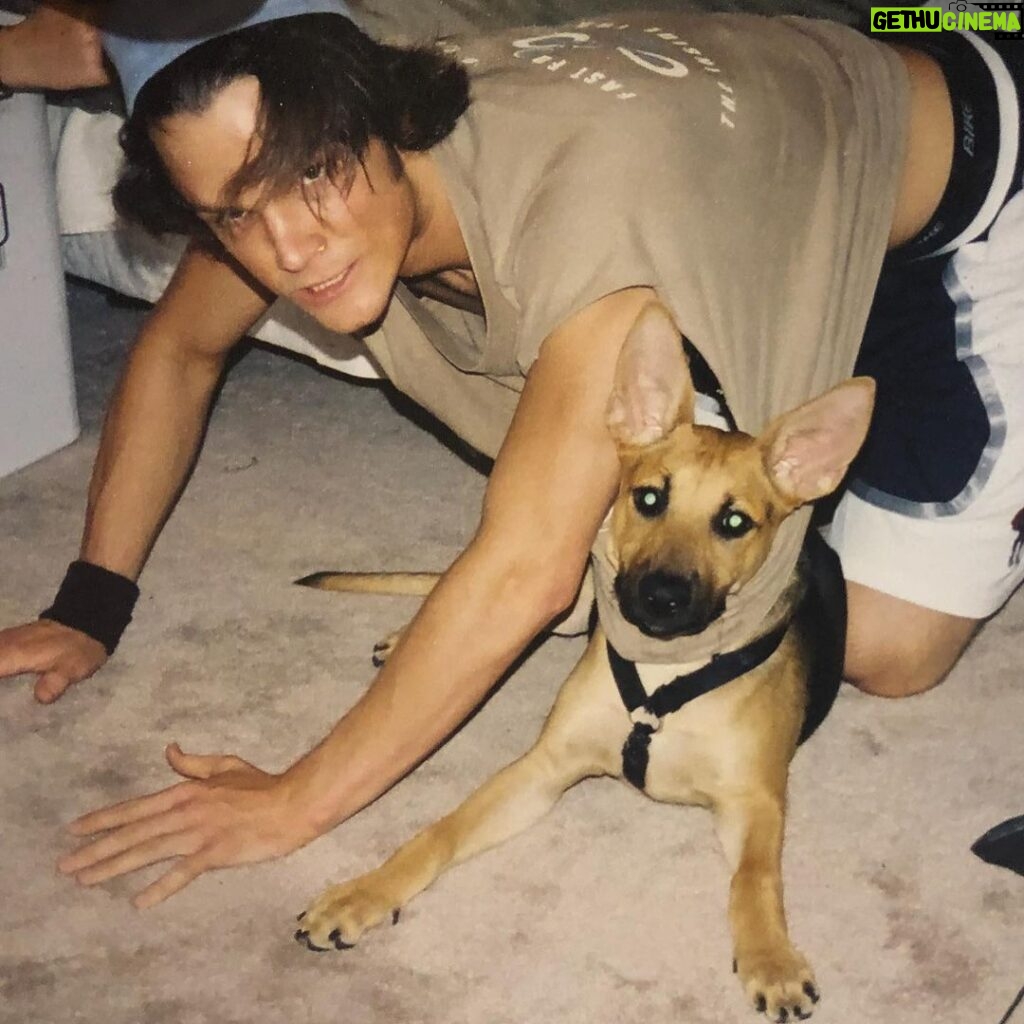 Jared Padalecki Instagram - One year ago today, i bid my final farewell to my girl, Sadie. I rescued her in June of 2003, between scenes on Gilmore Girls, and we were partners and teammates for 15+ years. I think about her often. I miss her, and I’ll always cherish the times we shared. I sometimes feel selfish, thinking about how much joy she gave me. I hope i made her feel the same. If i was able to give her even just 1% of the happiness she gave me, then she’s still smiling... somewhere... Play In Peace Sadie. My life is better because you were in it.