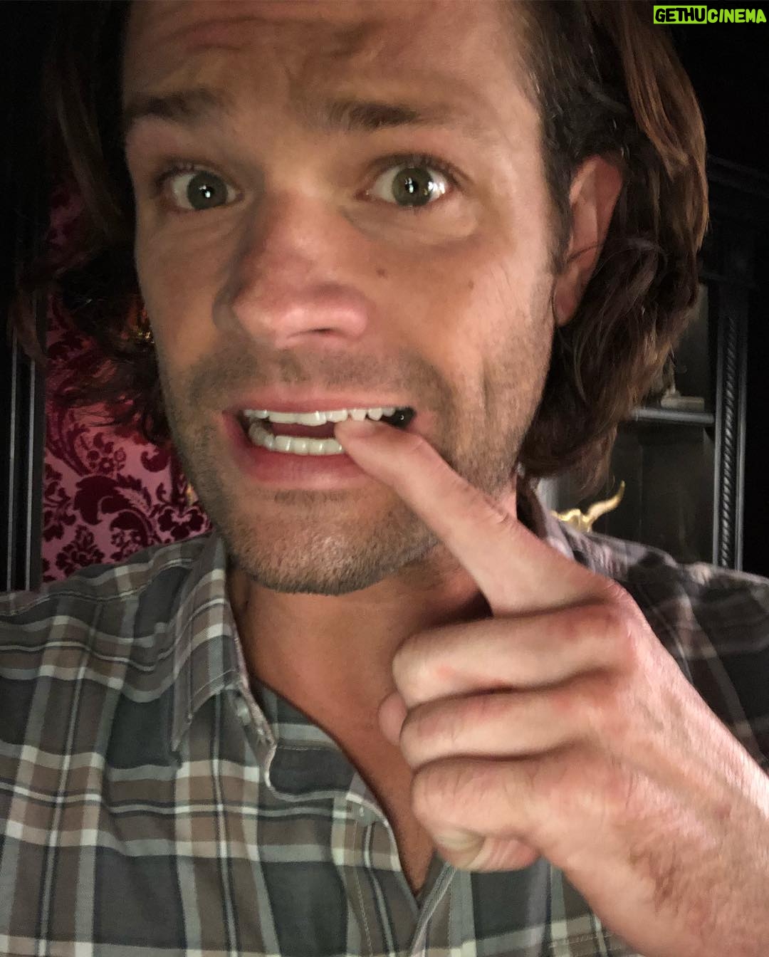 Jared Padalecki - 403.6K Likes - Ok. Whoops. I think i messed up on the links.... gonna talk to people who are smarter than I am and get it figured out. 🤦♂️ Get back to you soon!!