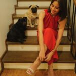 Jasmine Curtis-Smith Instagram - Welcomed the Year of the Dragon with my sparkly pair of @gibishoes MADDIE heels in gold (and @thebochogsss)🐉❤️ #GibiShoes #AllSeasonAllOccasion #JCSshoefie
