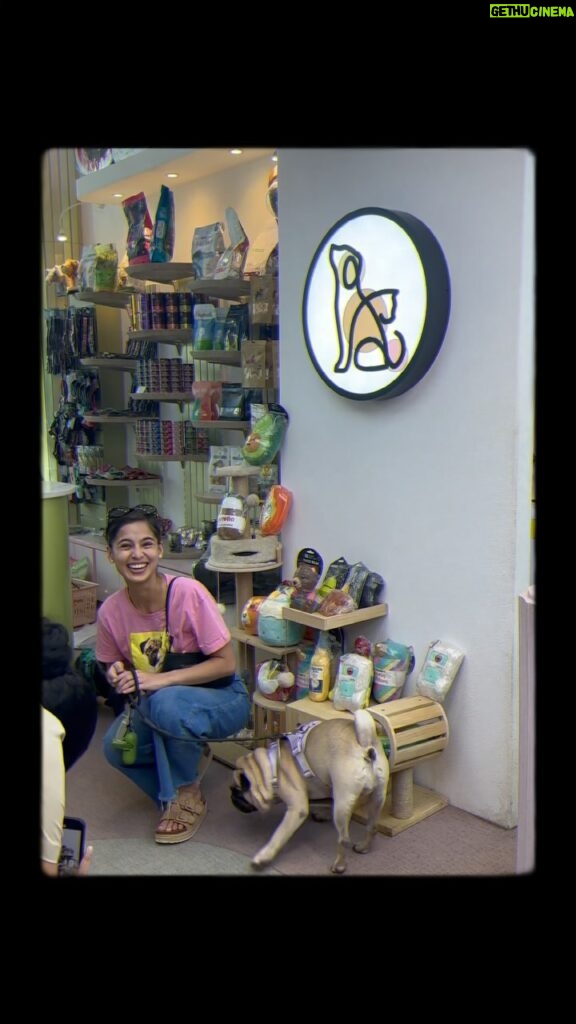 Jasmine Curtis-Smith Instagram - A day at the best groomers in town @luxuripets ✨ Thanks for always looking out for us bochies! 🐾🐾🐾