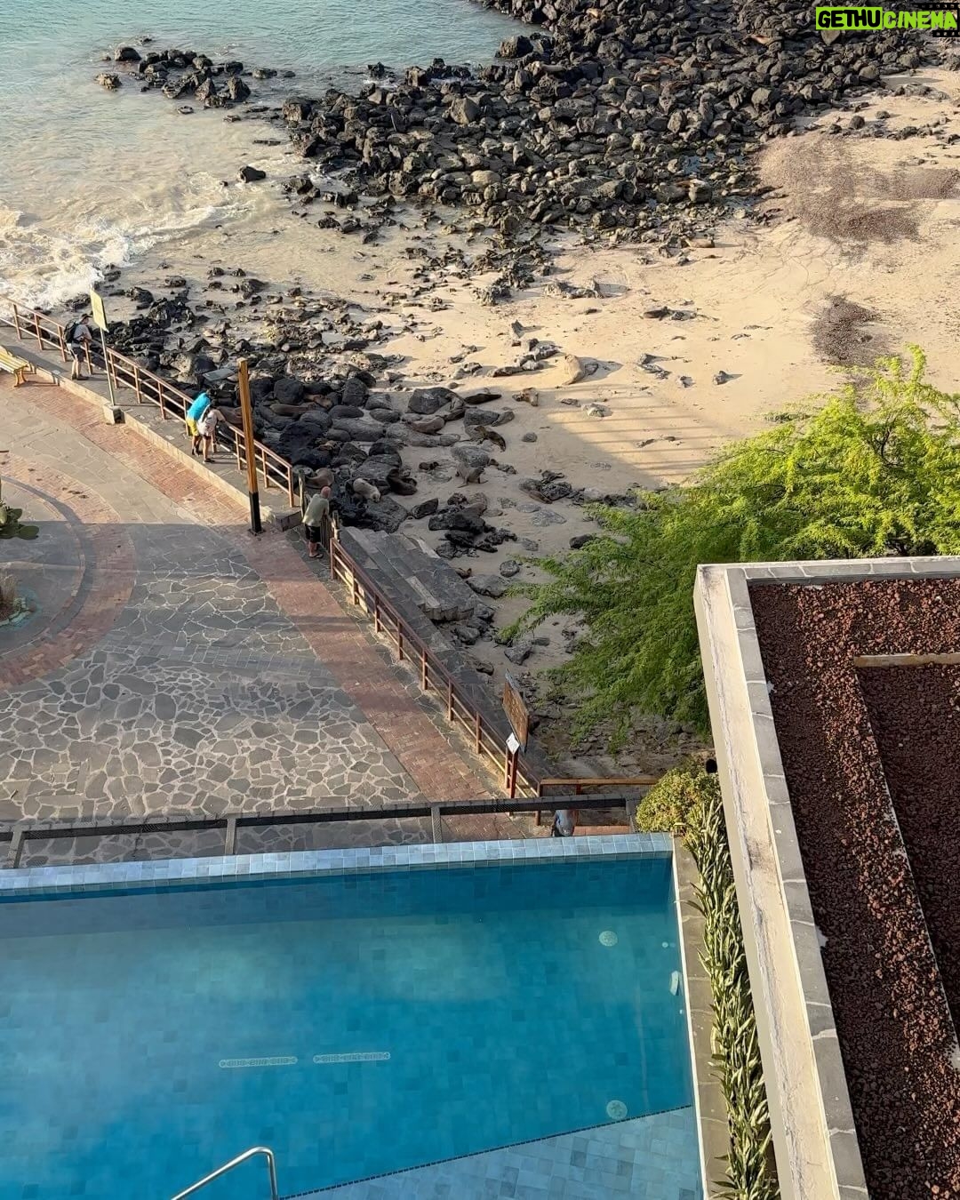 Jasmine Tookes Instagram - Last week in the Galapagos 🦭 @lfcsummit - Sharing more on stories 🤎