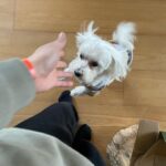Jasper Liu Instagram – Hahahahahahahha你怎麼在這邊小胖子！！