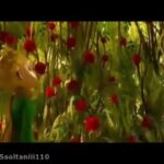 Javad Ezzati Instagram – زمانى كه صرف گلت كرديه كه اونو مهم ميكنه🌹♥️