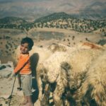 Javad Ezzati Instagram – ☘️☘️سياه چادر نشين☘️☘️
ارتفاعات زاگرس
🌹🌹🌹 رشته کوه های زاگرس