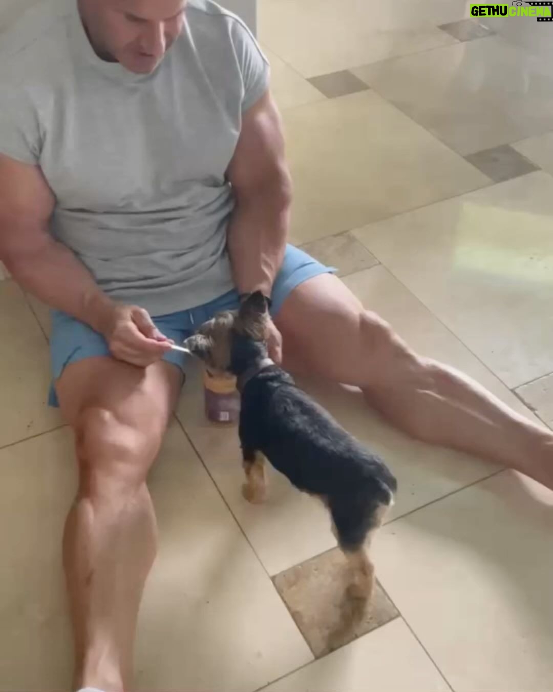 Jay Cutler Instagram - After stressful days at the office, there’s nothing like coming home to the excitement of Capone and Daisy. I love to see my dogs happy. I want to see your pets happy too. That’s why I am giving away 10 jars of my new Jay’s Pet Butter. To Enter (Instagram Only): * Follow @jaycutler and @jayspetbutter * Tag two friends with pets * Enter as many times as you want * Giveaway is for the Domestic USA Only Winners will be selected on Sunday, August 14, 2022. Las Vegas, Nevada