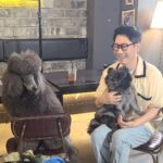 Jee Seok-jin Instagram – 촬영때문에 갔던 가게에  이런 귀염둥이들이♡ 
#사진찍는아는듯 #똑똑한귀염둥이들 #두달전쯤