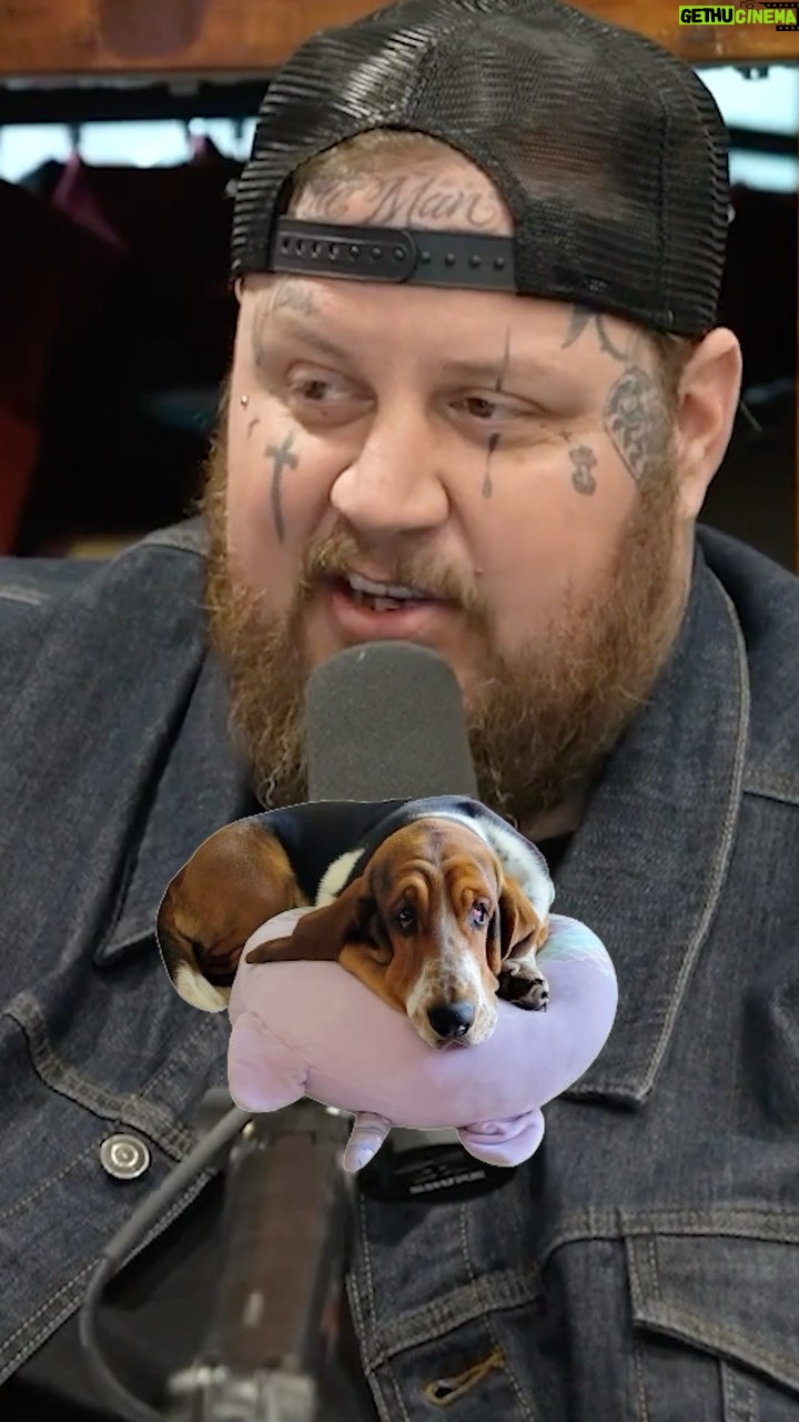 Jelly Roll Instagram - @jellyroll615’s Dog Has Been On Tour Since Birth 🐕