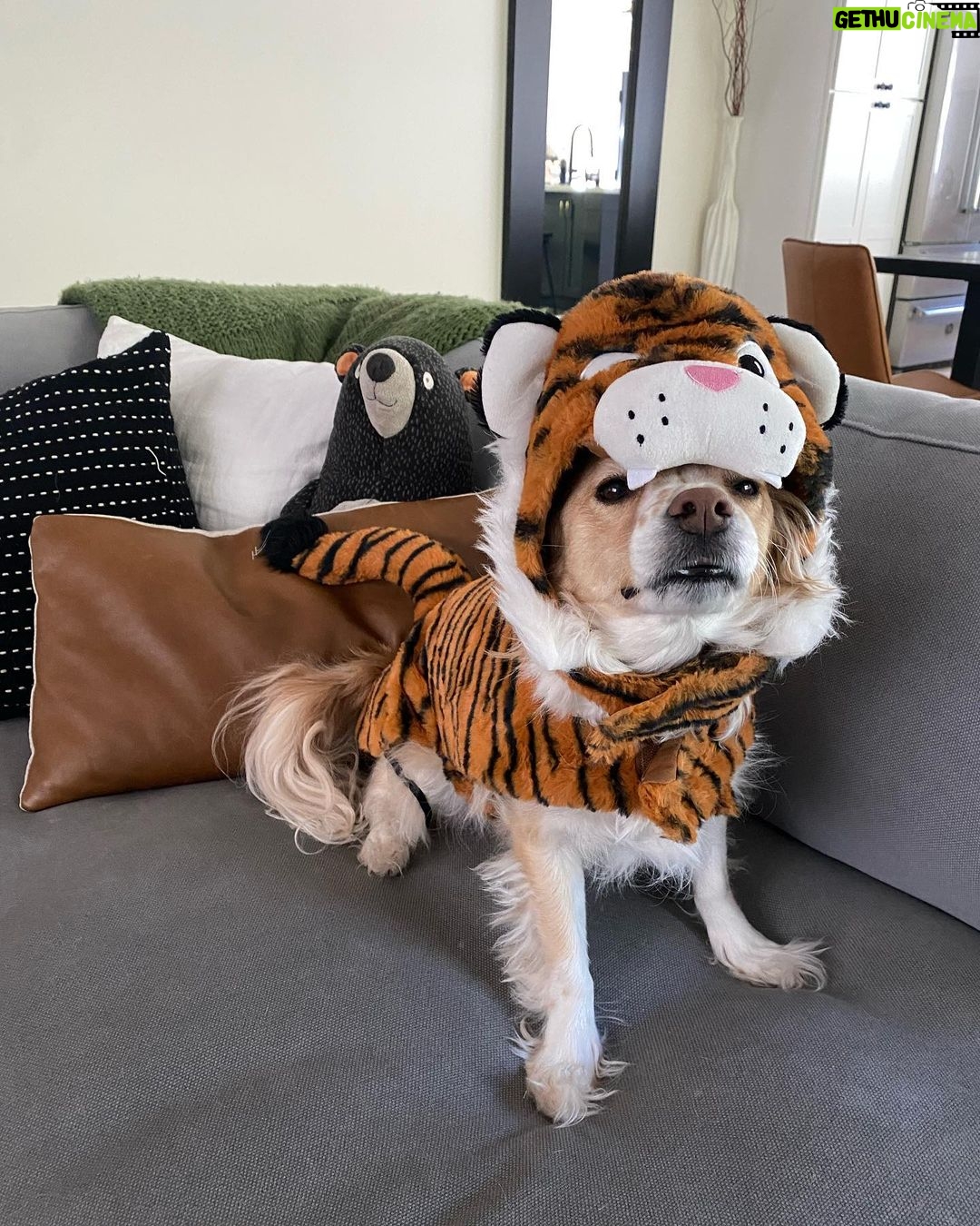 Jenn McAllister - 67.8K Likes - halloweekend
