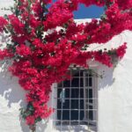 Jenn McAllister Instagram - island hopping Paros, Greece