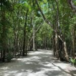 Jenn McAllister Instagram - the mayan ruins of cobá and tulum, honestly one of the coolest things i’ve ever seen irl Mayan Ruins
