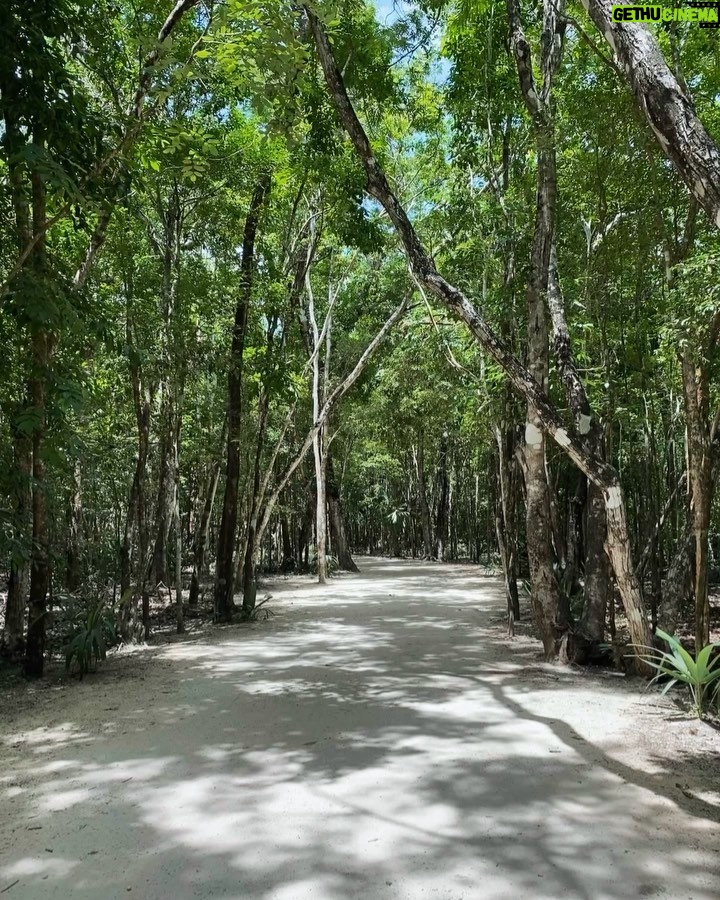 Jenn McAllister Instagram - the mayan ruins of cobá and tulum, honestly one of the coolest things i’ve ever seen irl Mayan Ruins