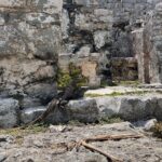 Jenn McAllister Instagram - the mayan ruins of cobá and tulum, honestly one of the coolest things i’ve ever seen irl Mayan Ruins