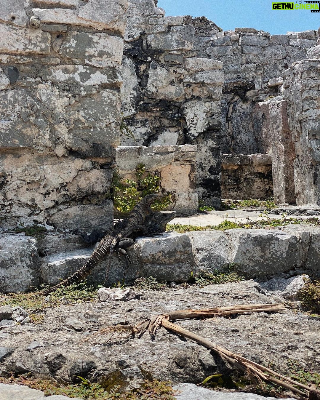 Jenn McAllister Instagram - the mayan ruins of cobá and tulum, honestly one of the coolest things i’ve ever seen irl Mayan Ruins