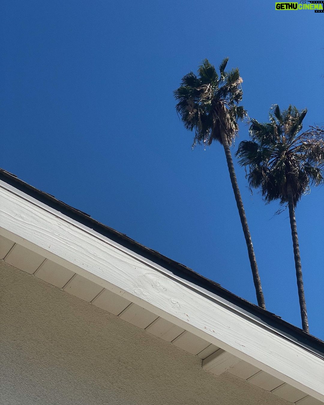 Jenn McAllister Instagram - idk Los Angeles, California