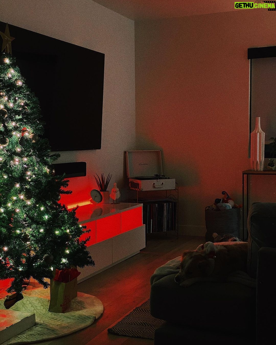 Jenn McAllister Instagram - christmas photo dump 😌🎄 hope u have a merry christmas, love u guys v much Los Angeles, California