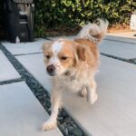 Jenn McAllister Instagram - finny appreciation post Los Angeles, California