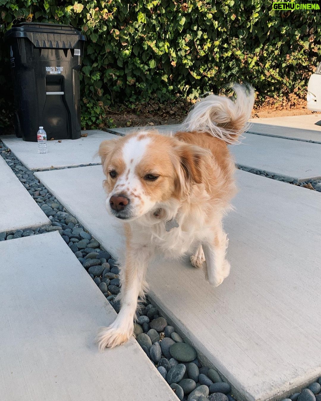 Jenn McAllister Instagram - finny appreciation post Los Angeles, California