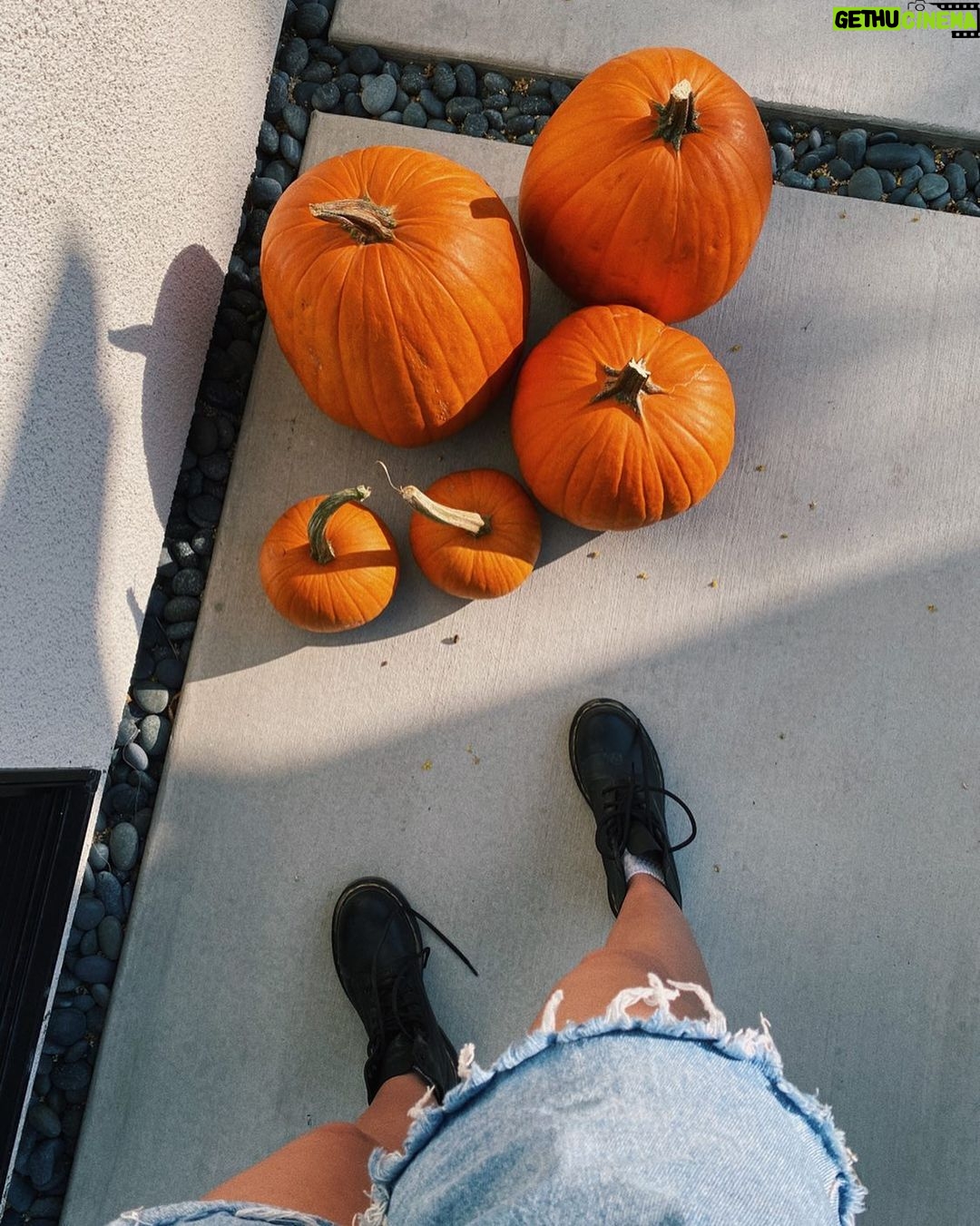 Jenn McAllister Instagram - what should i carve into my pumpkins? Los Angeles, California
