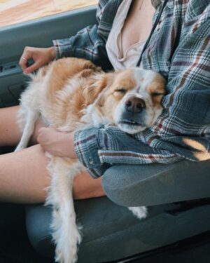 Jenn McAllister Instagram - driving cross country / day 4