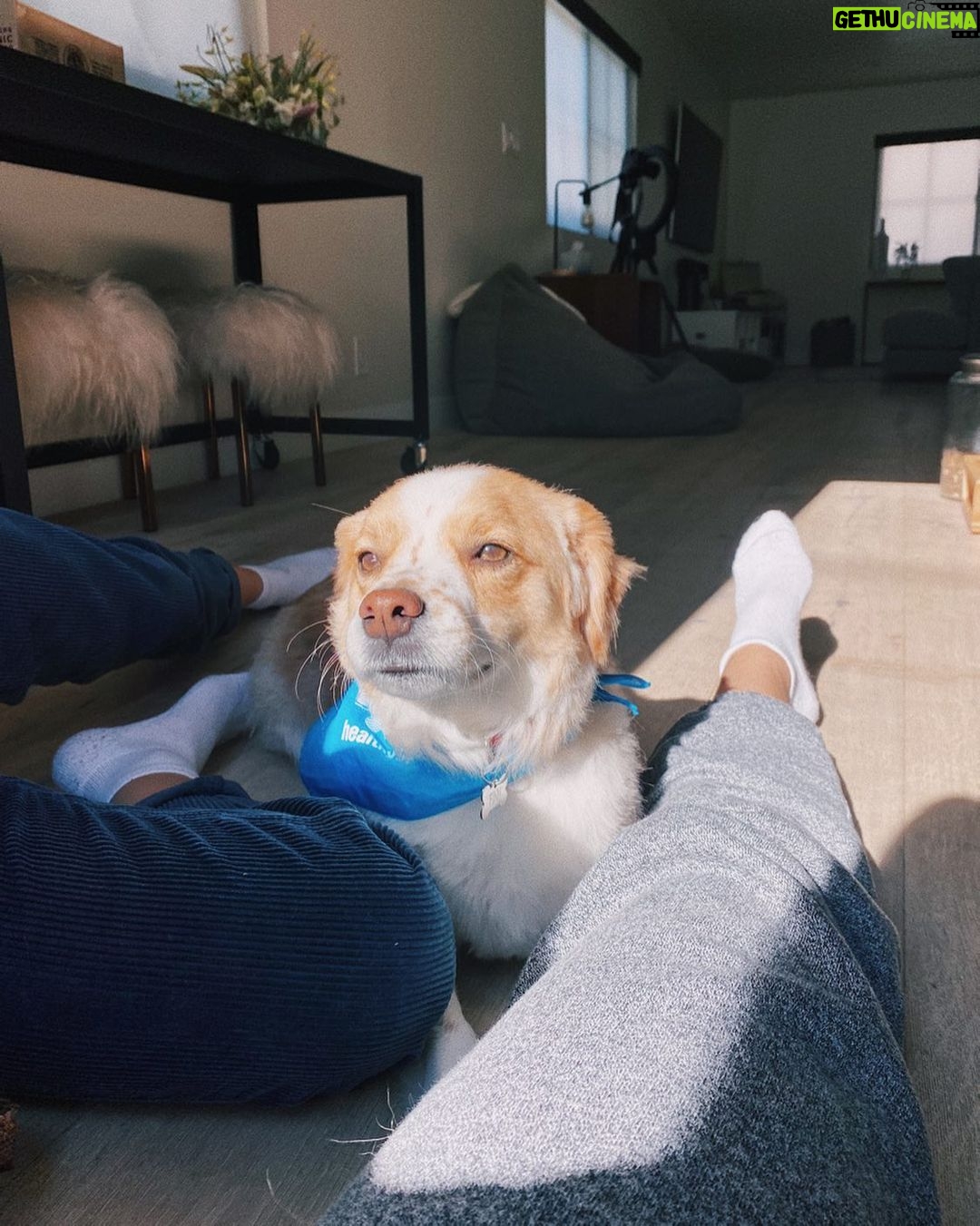 Jenn McAllister Instagram - he’s glowing Los Angeles, California