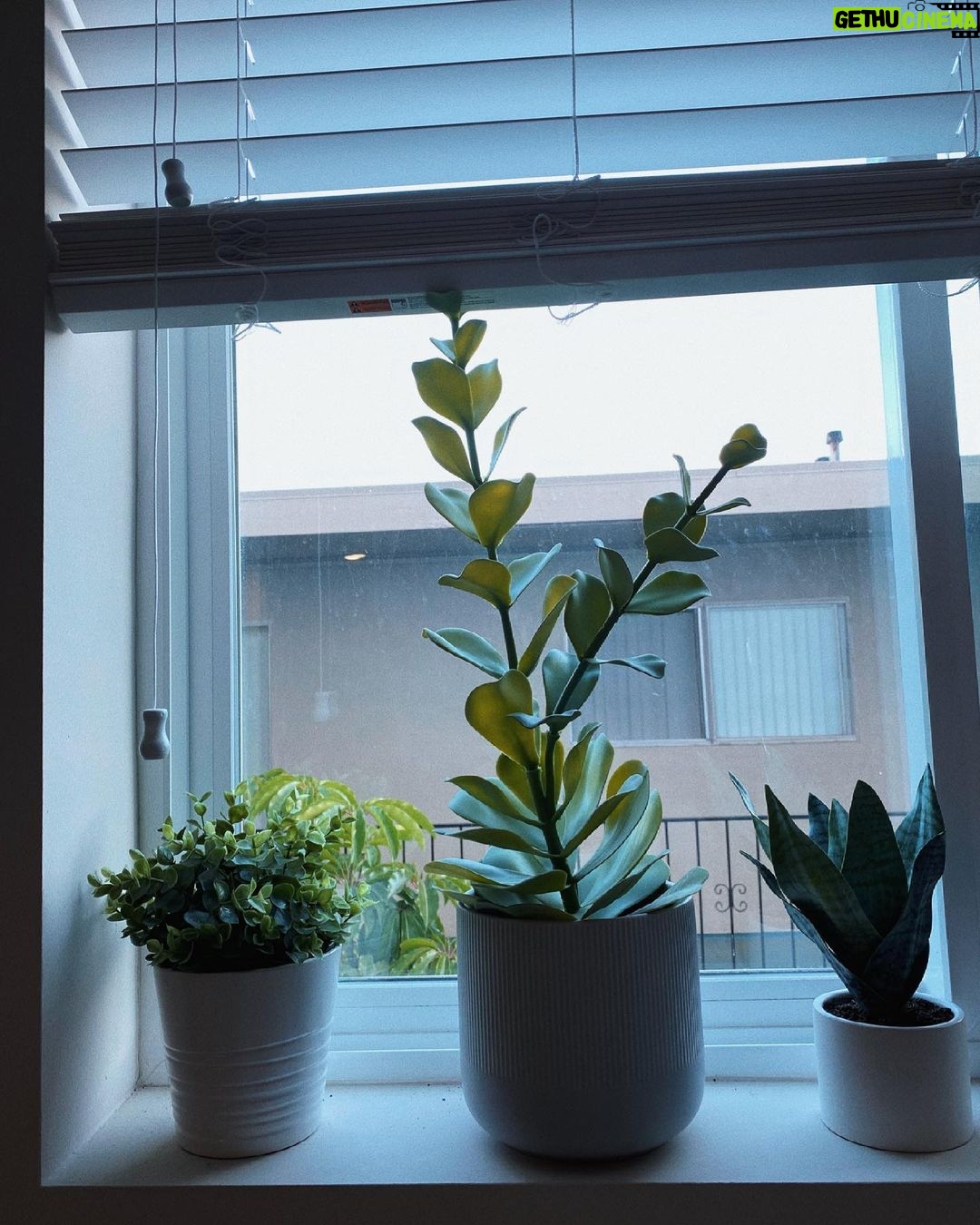 Jenn McAllister Instagram - growth🌱 Los Angeles, California