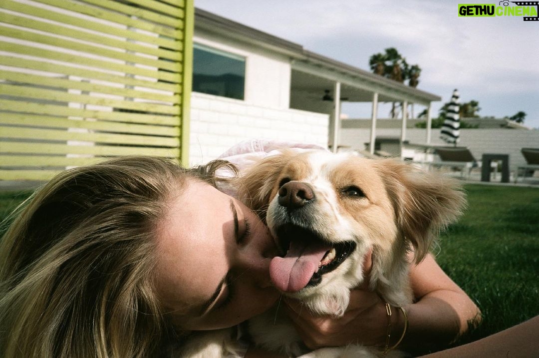 Jenn McAllister Instagram - palm springs on film #35mm Palm Springs, California