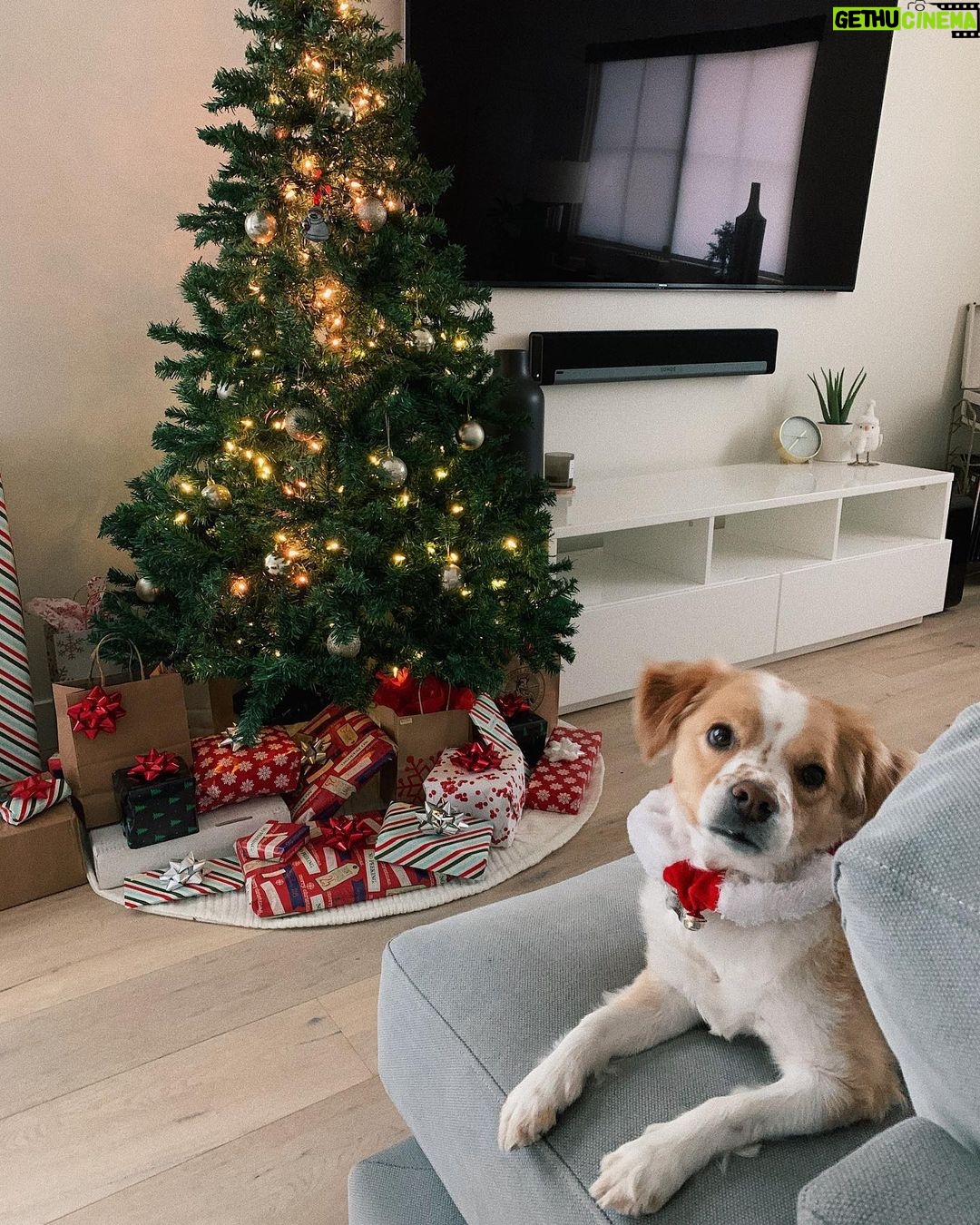 Jenn McAllister Instagram - christmas photo dump 😌🎄 hope u have a merry christmas, love u guys v much Los Angeles, California
