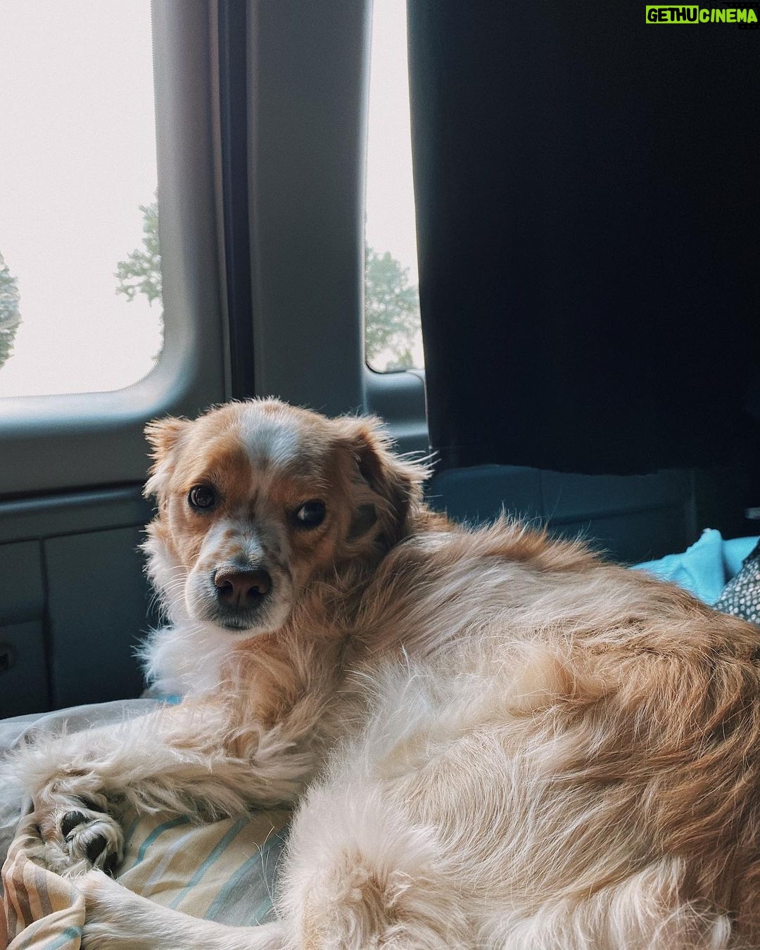 Jenn McAllister Instagram - driving cross country / day 7 Ohio, USA