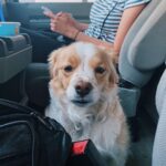 Jenn McAllister Instagram - driving cross country / day 6 Chicago, Illinois