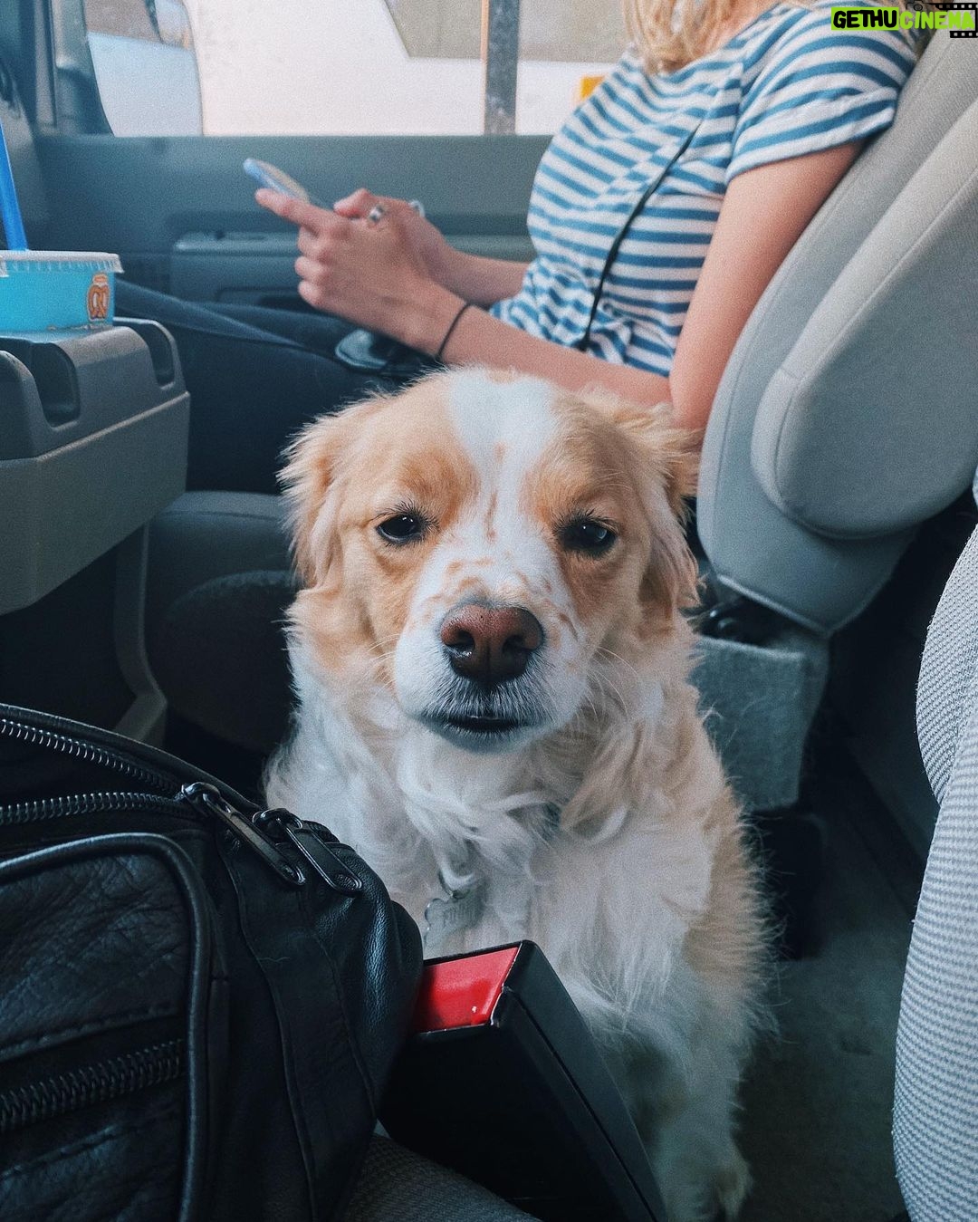 Jenn McAllister Instagram - driving cross country / day 6 Chicago, Illinois