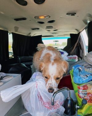 Jenn McAllister Instagram - driving cross country / day 1