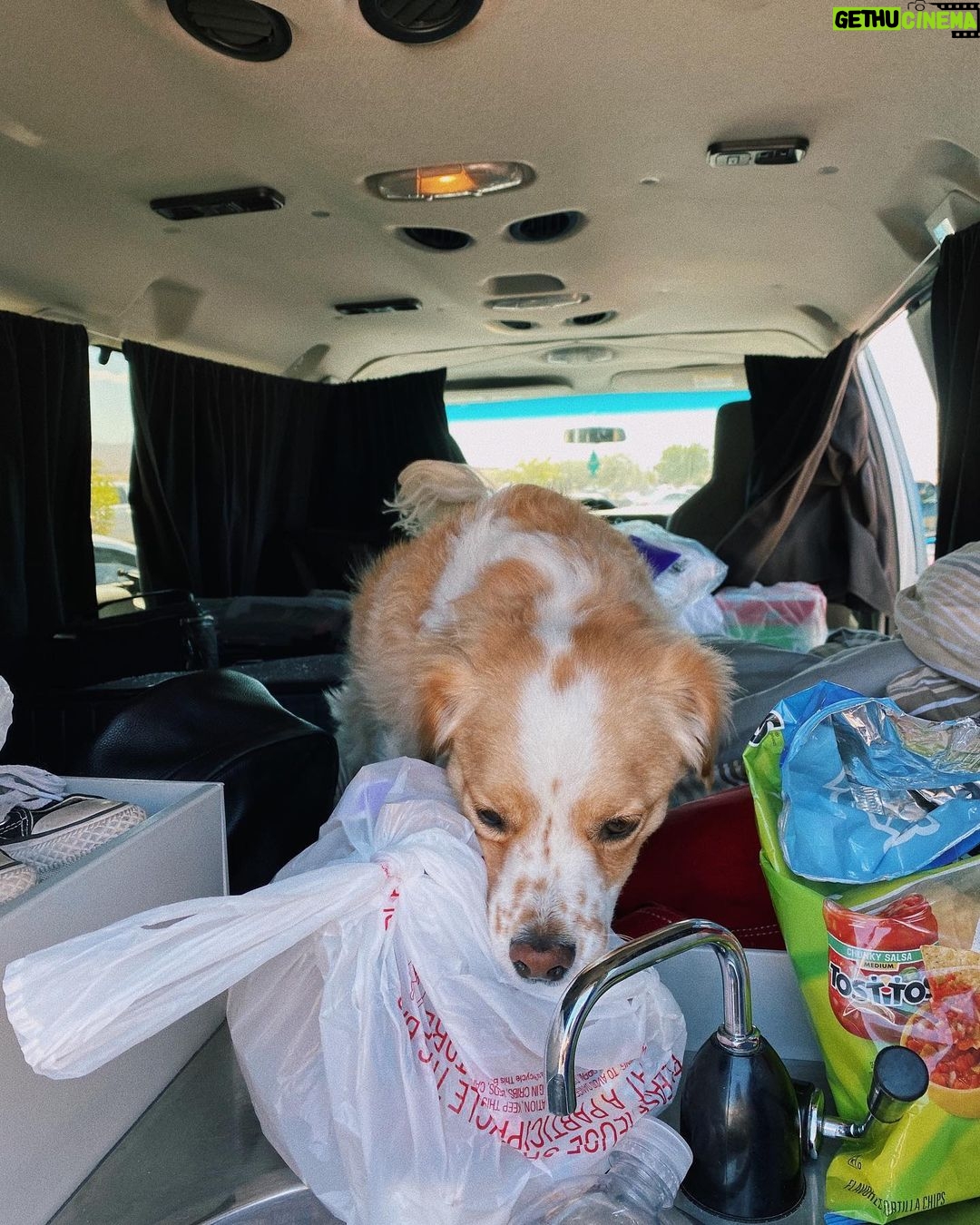 Jenn McAllister - 46.8K Likes - driving cross country / day 1