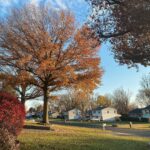 Jenn McAllister Instagram - november in tennessee + pennsylvania